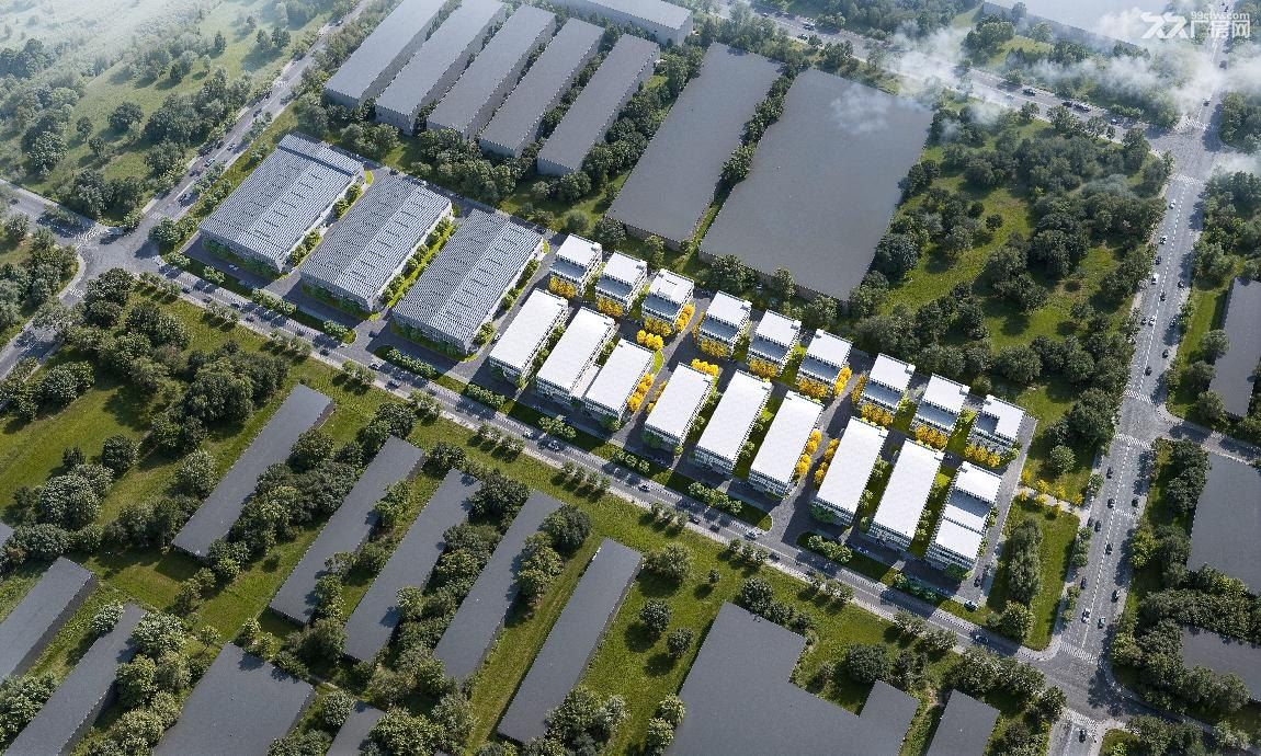 津南双港1145m²轻钢单层厂房出售 - 4
