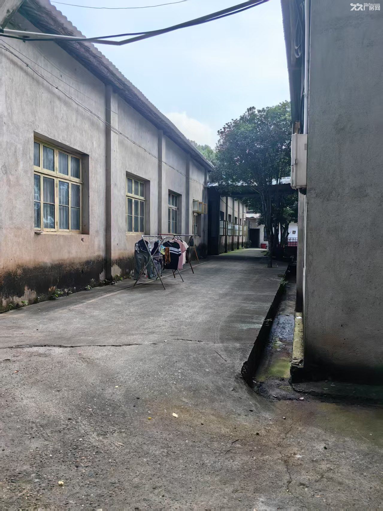 二环边湘大路口独院厂房出租
