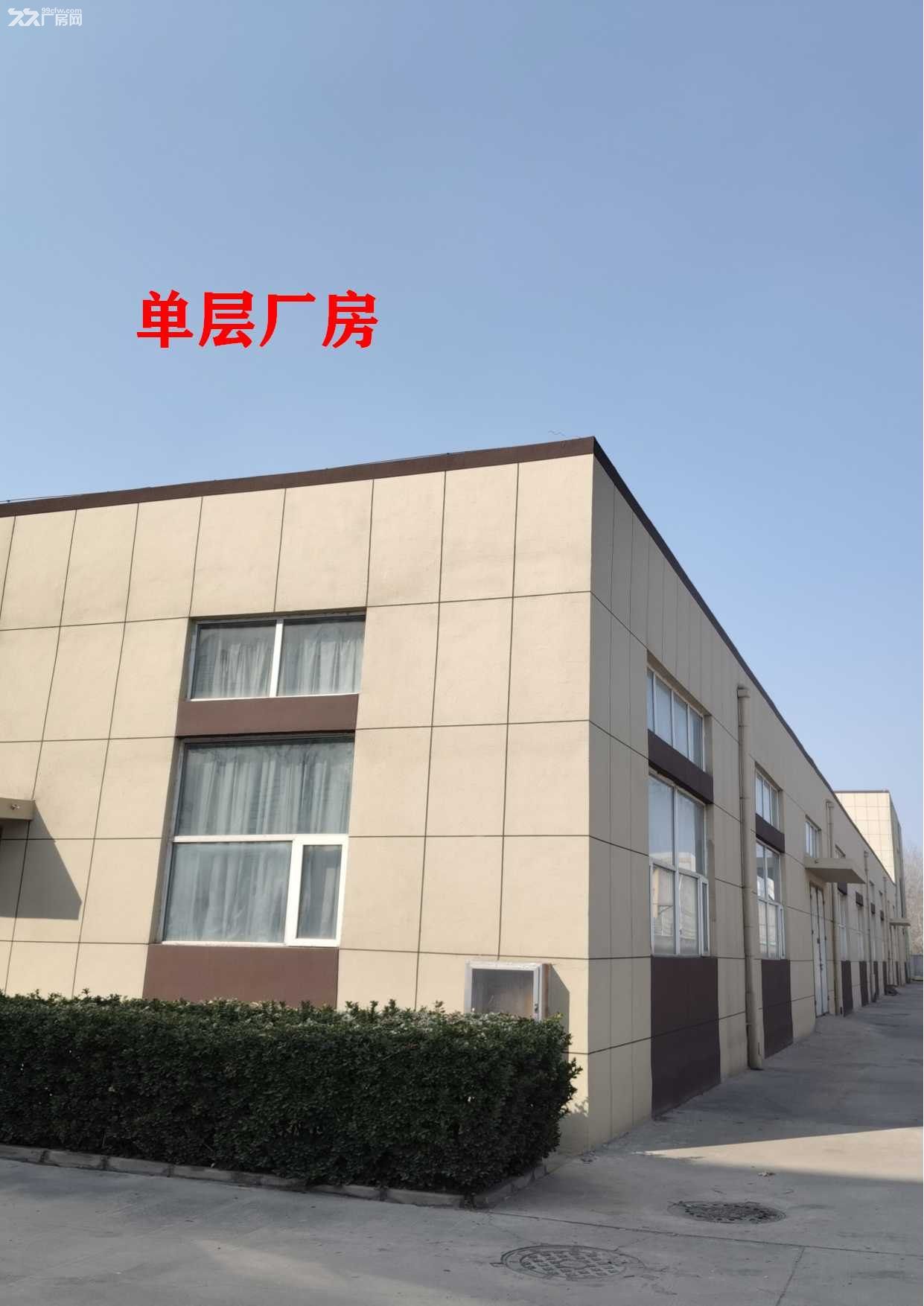 3000平单层标准框架大厂房 - 4