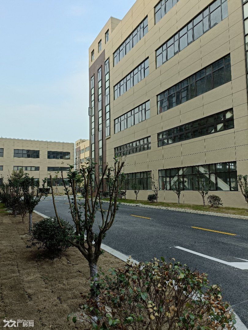 奉贤区金汇镇食品行业核心承载区 - 2