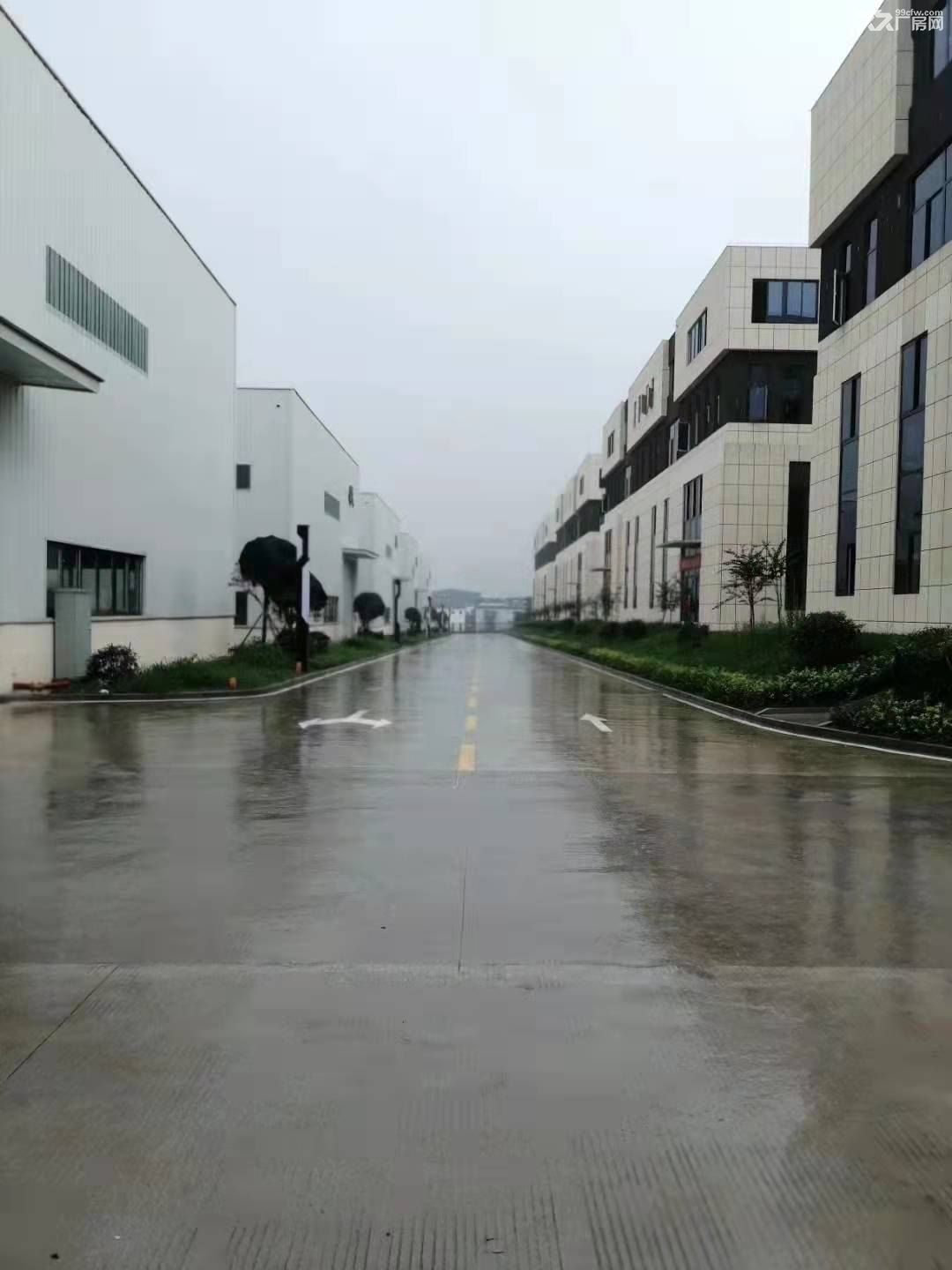 珞璜高速路口单层带院厂房出租 - 5