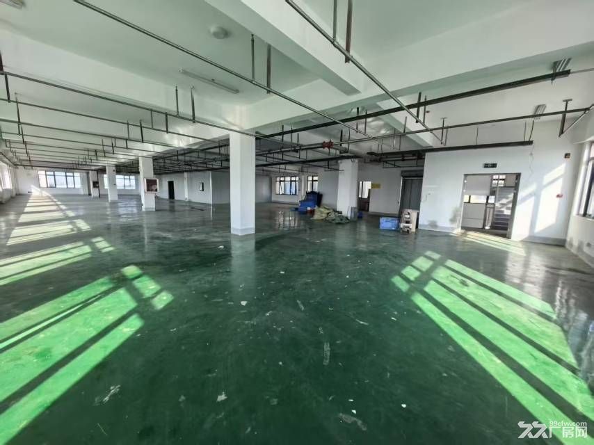 新站区标准厂房独门独院920平可分租 - 5