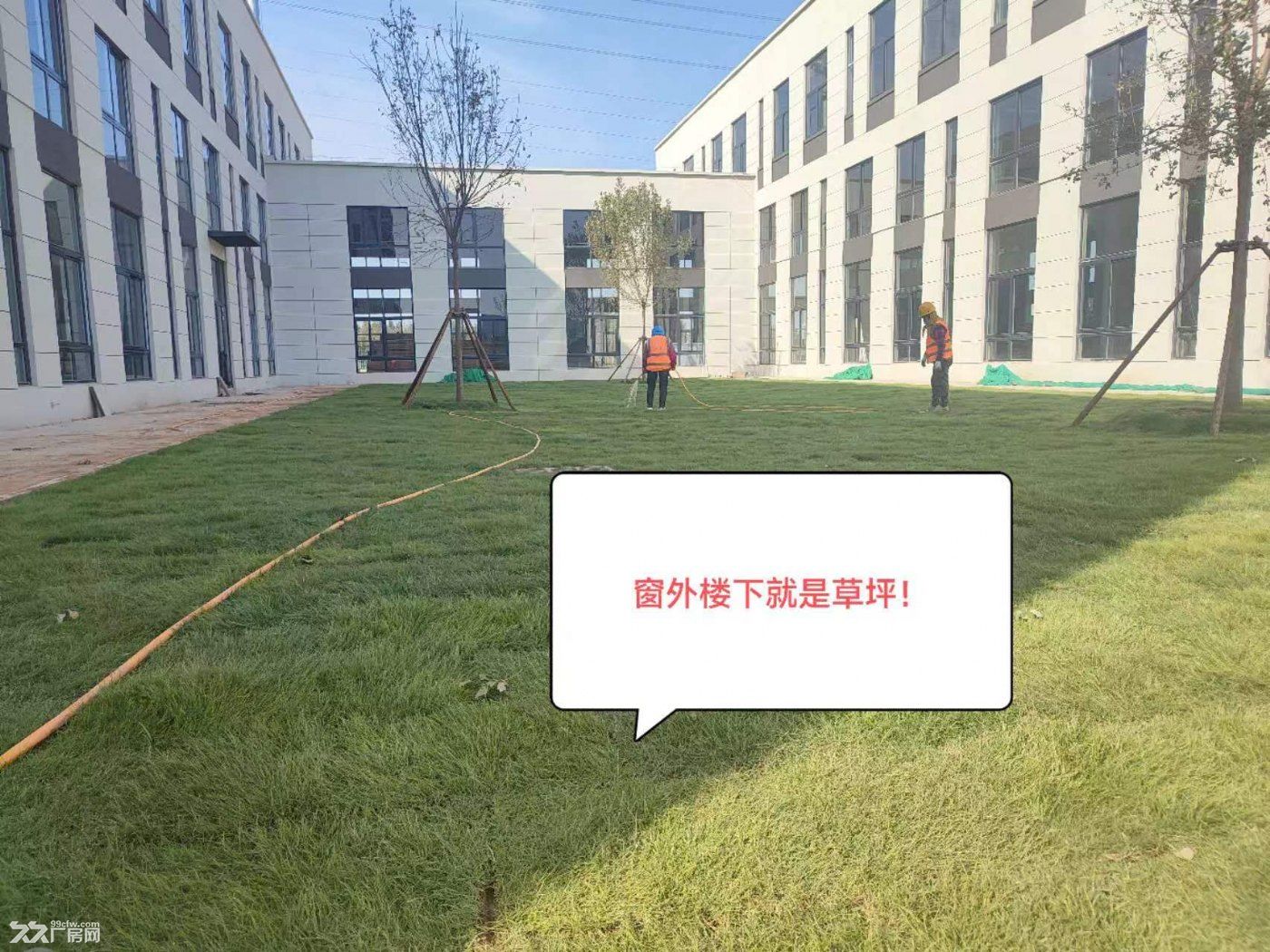 工业北丨双层三层独栋丨层高7.8,11.4米大跨距 - 4
