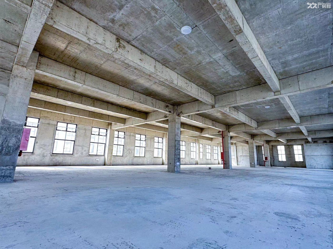 如皋高速口3000平双层厂房出租,行车5吨,货梯3吨,丙二类消防 - 2