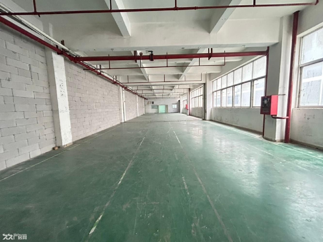 深圳福永地铁站附近大型工业园区楼上2000平精装修厂房出租 - 3