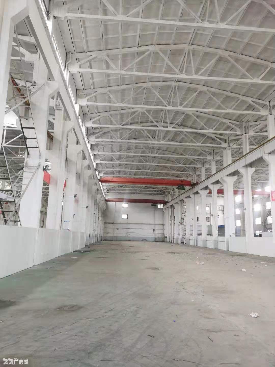 张泾一楼300平,450平,550平,800平,950平,1100平出租 - 5