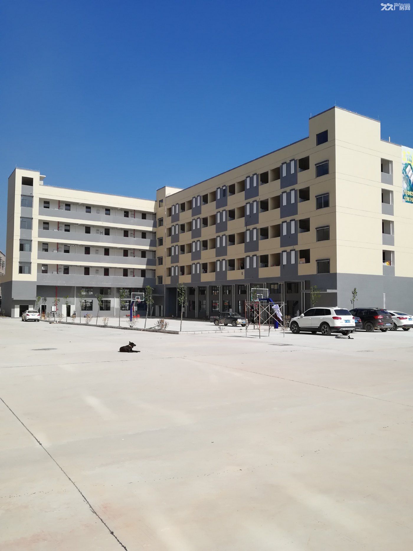 《《合》》惠州市惠城区马安镇红本全新厂房43500平方出租 - 3