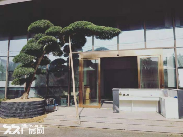 唯亭13000平标准厂房 精装办公室 独立门厅 可做展厅