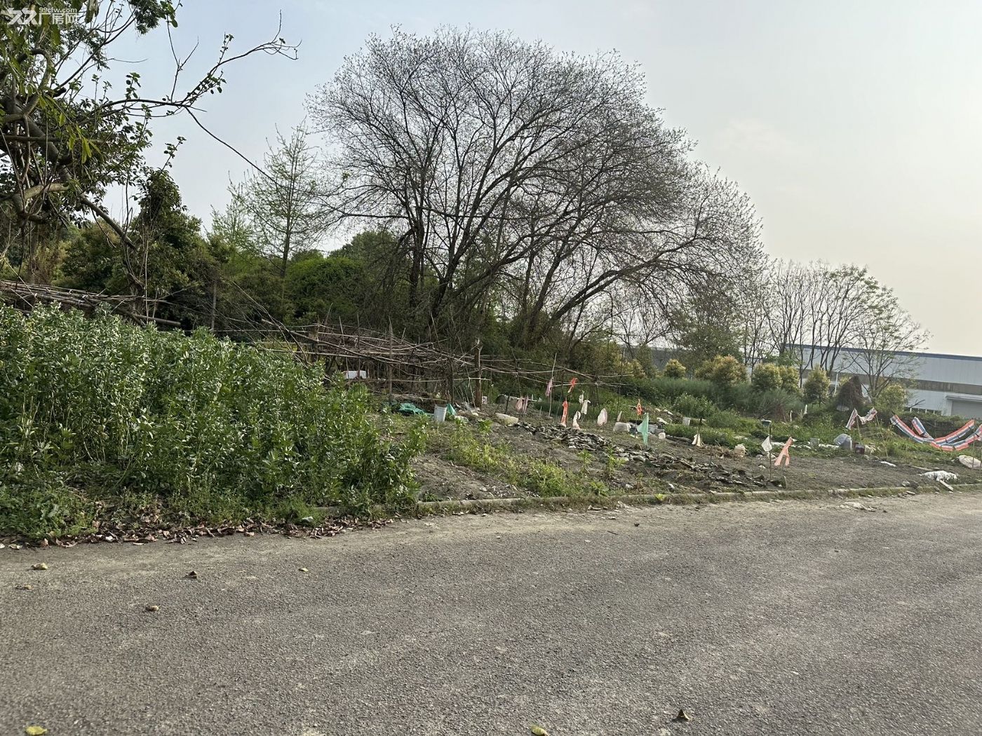 温江海峡120亩工业土地出售 有土地证 32万一亩 - 3