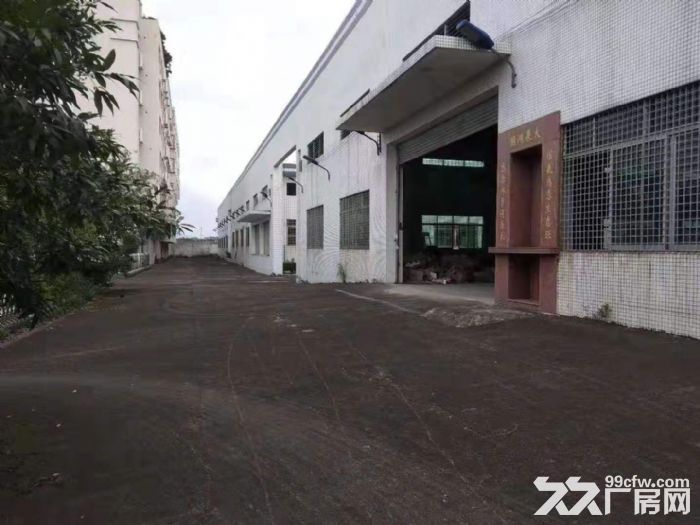 台山水步工业区独院单一层厂房10000平方招租 - 2