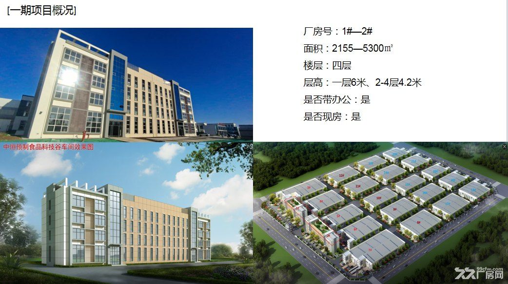 石家庄中恒食品科技谷厂房2000-4000平米招商,独立产权 - 3