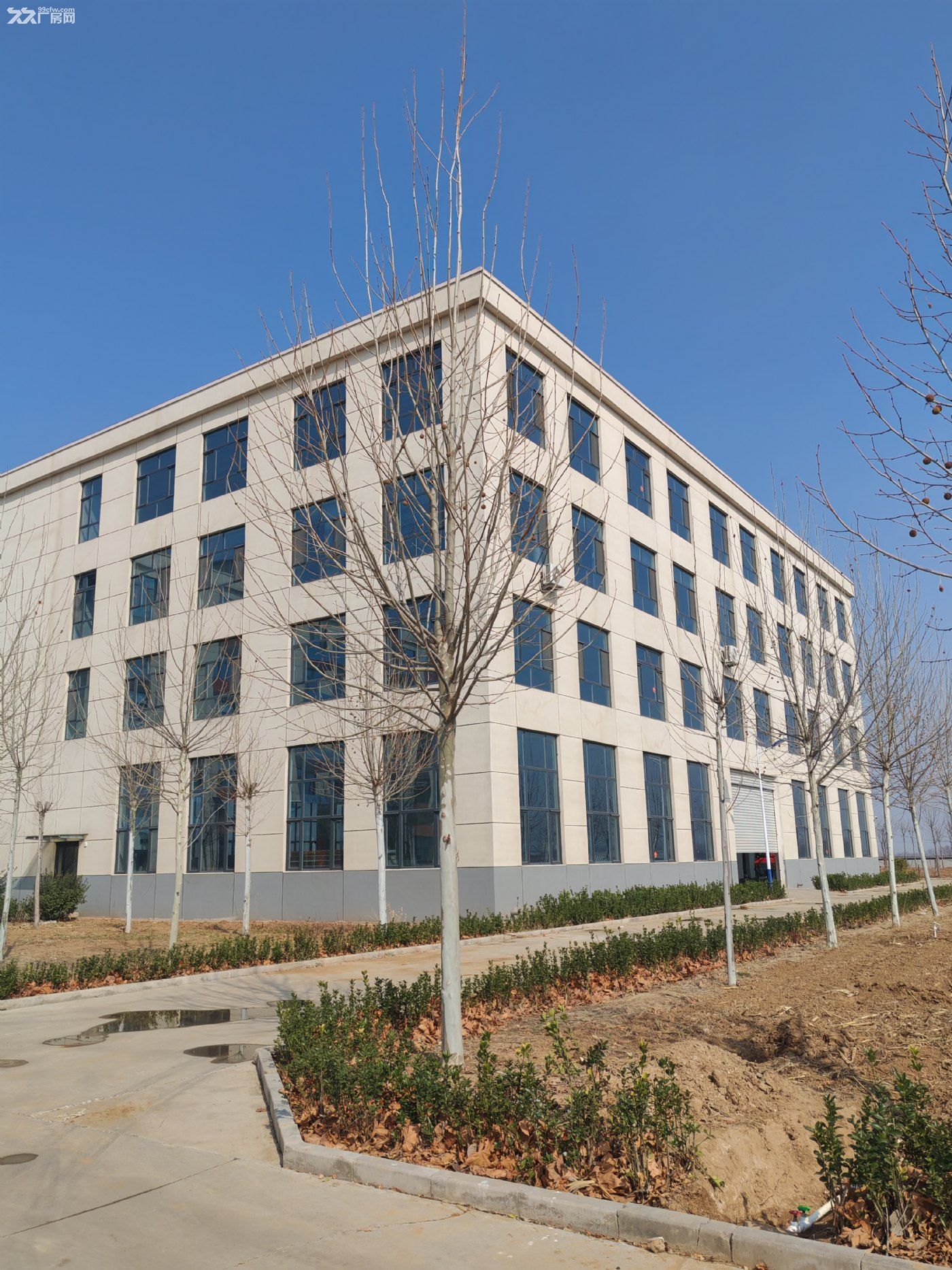 石家庄赞皇园区4层独栋楼出租，可生产，仓库 - 3