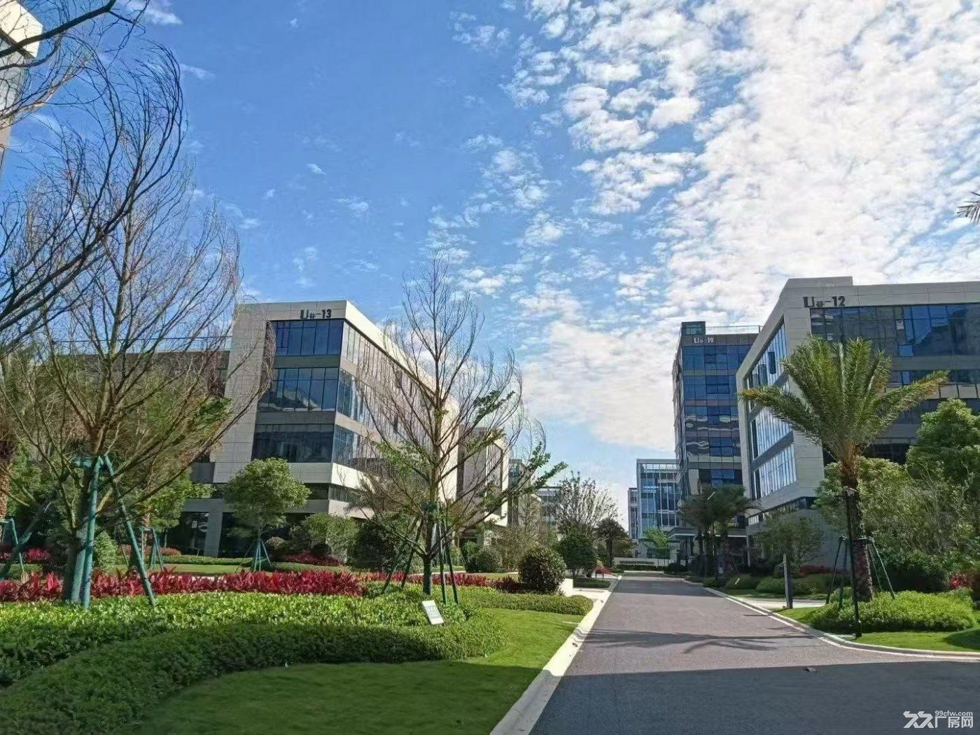 福州长乐滨海新区独栋分层稀缺厂房火热招商 - 5