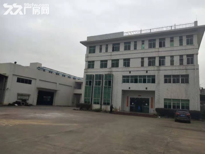台山台城工业区独院单一层厂房2500平方招租 - 5