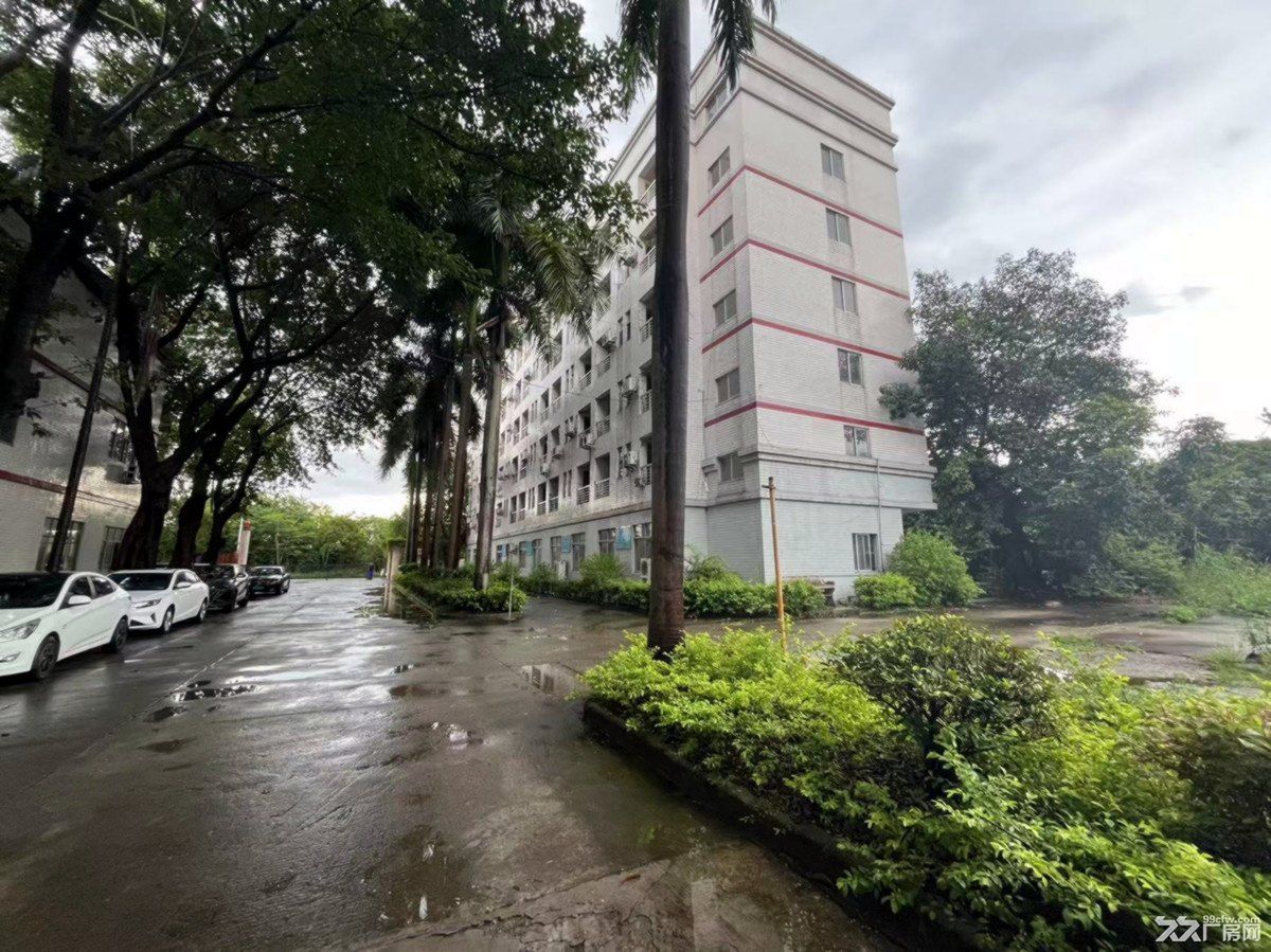 从化区明珠工业园有48.83亩工业厂房整体转让 - 8