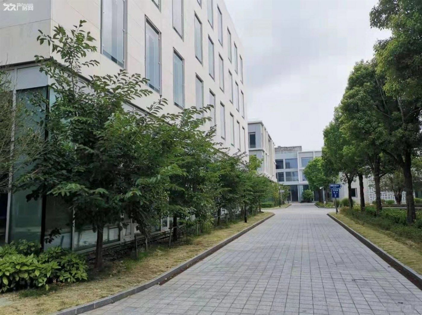 浦江6900平可分 商务办公 生物医药 研发中心 生产加工仓 - 2