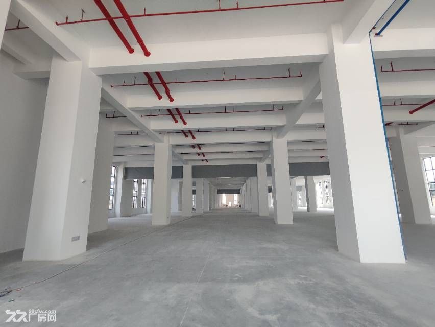 寮步原房东全新重工业厂房57000平方厂房出租，空地超大 - 5