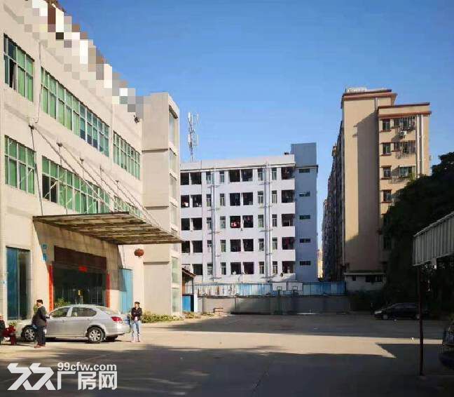 白云龙归园厦工业区新出独院厂房,500平方起分租,空地大