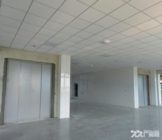 山腰街道百川科技标准化厂房正火热租售中 - 5