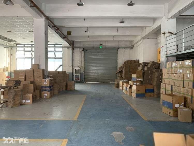 康桥550平层高5.5米 业主直租 独门独院 低租金 近地铁