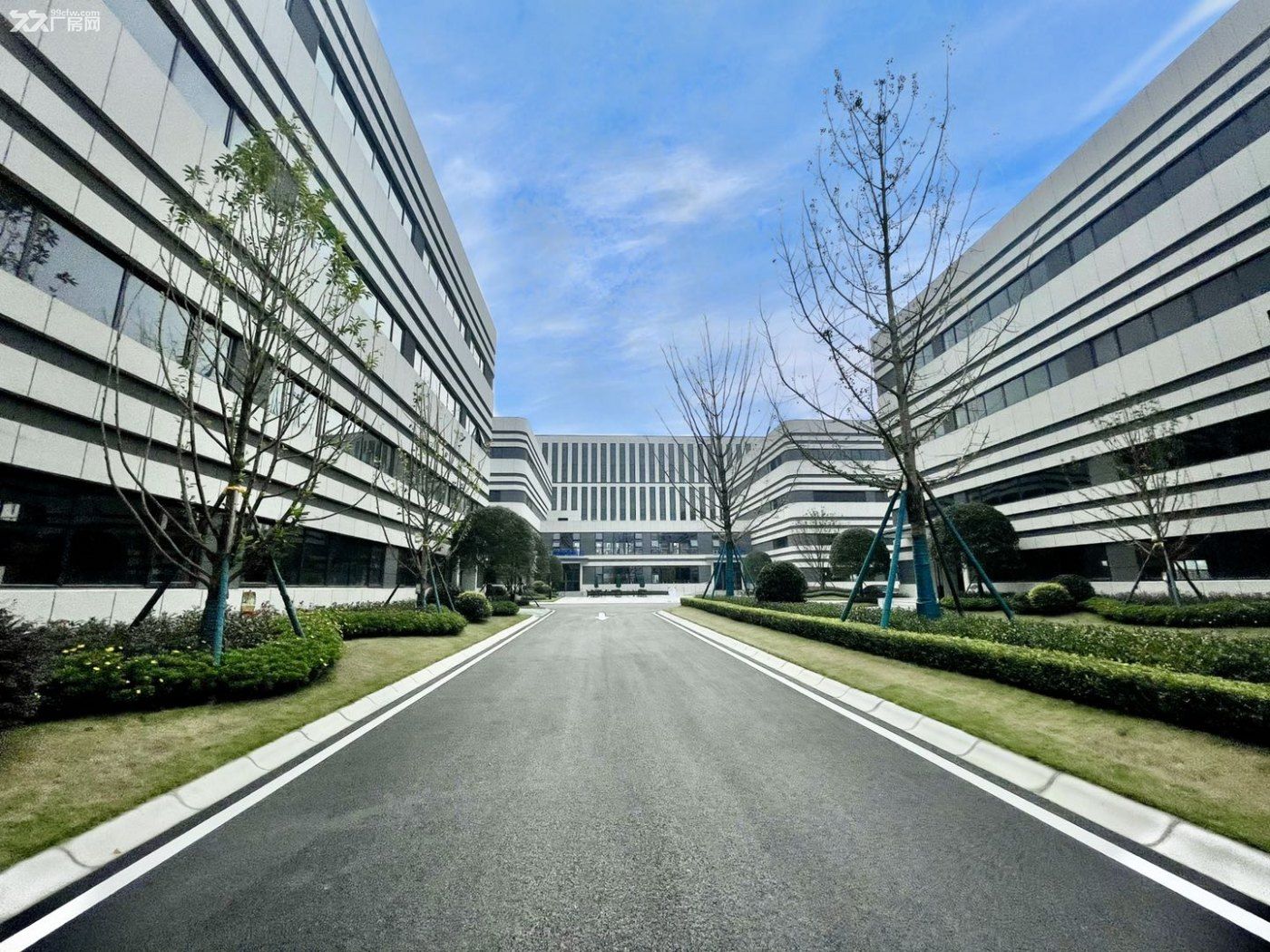 天府新区新兴工业园,紧临龙泉,全新独栋分成园区,可享受政府租金50%补贴 - 3