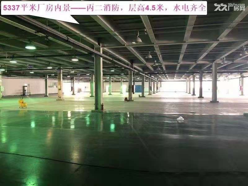 空港厂房出租,挑高12米,不限业态,随时入住 - 2