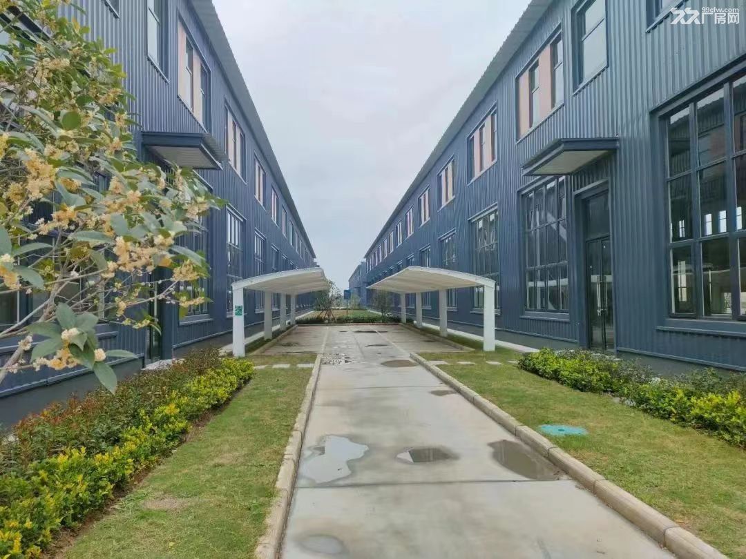 标准厂房出售,接受定制,50年大产权,可按揭 - 4
