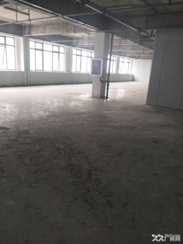 新站区 框架结构小面积厂房 出租
