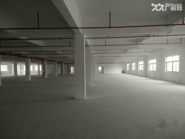 《《合》》惠阳区独门独院厂房9300平方出租 - 6
