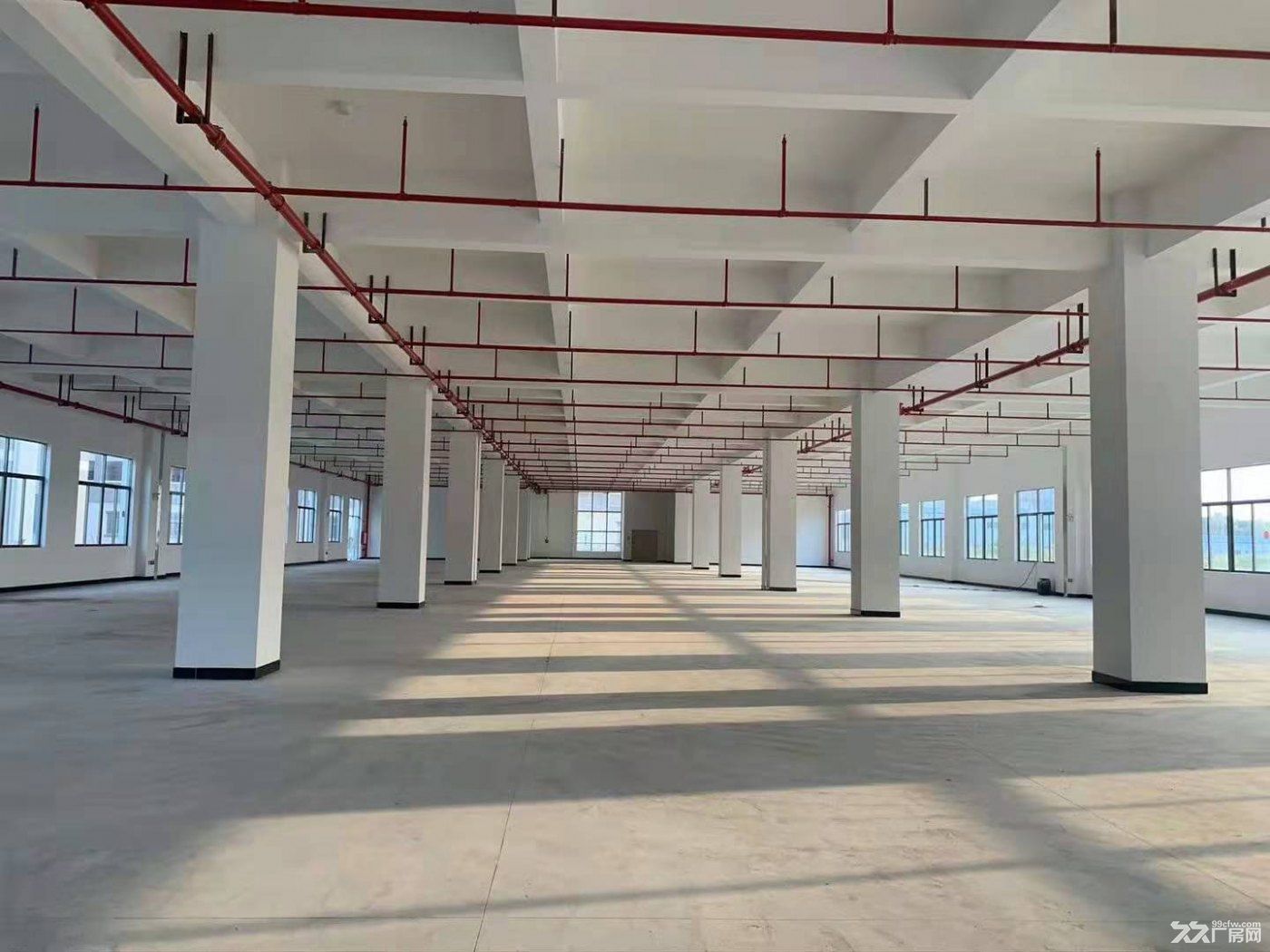 《惠》惠州市博罗县泰美附近 原房东全新产业园招商园区建筑面积80000㎡ - 3