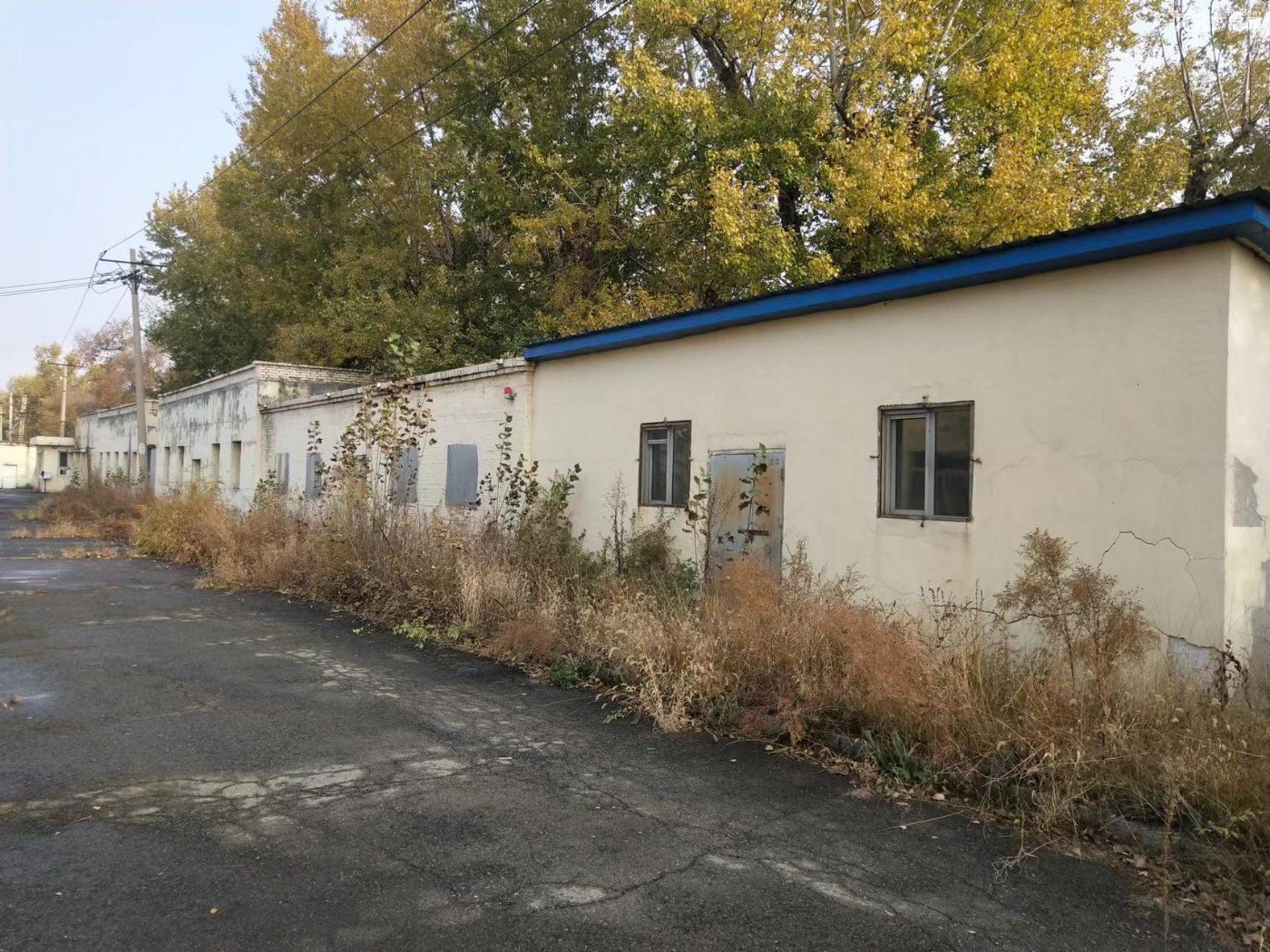 哈药集团世一堂制药厂(膏药厂)位于道外区东化工路7号 - 8