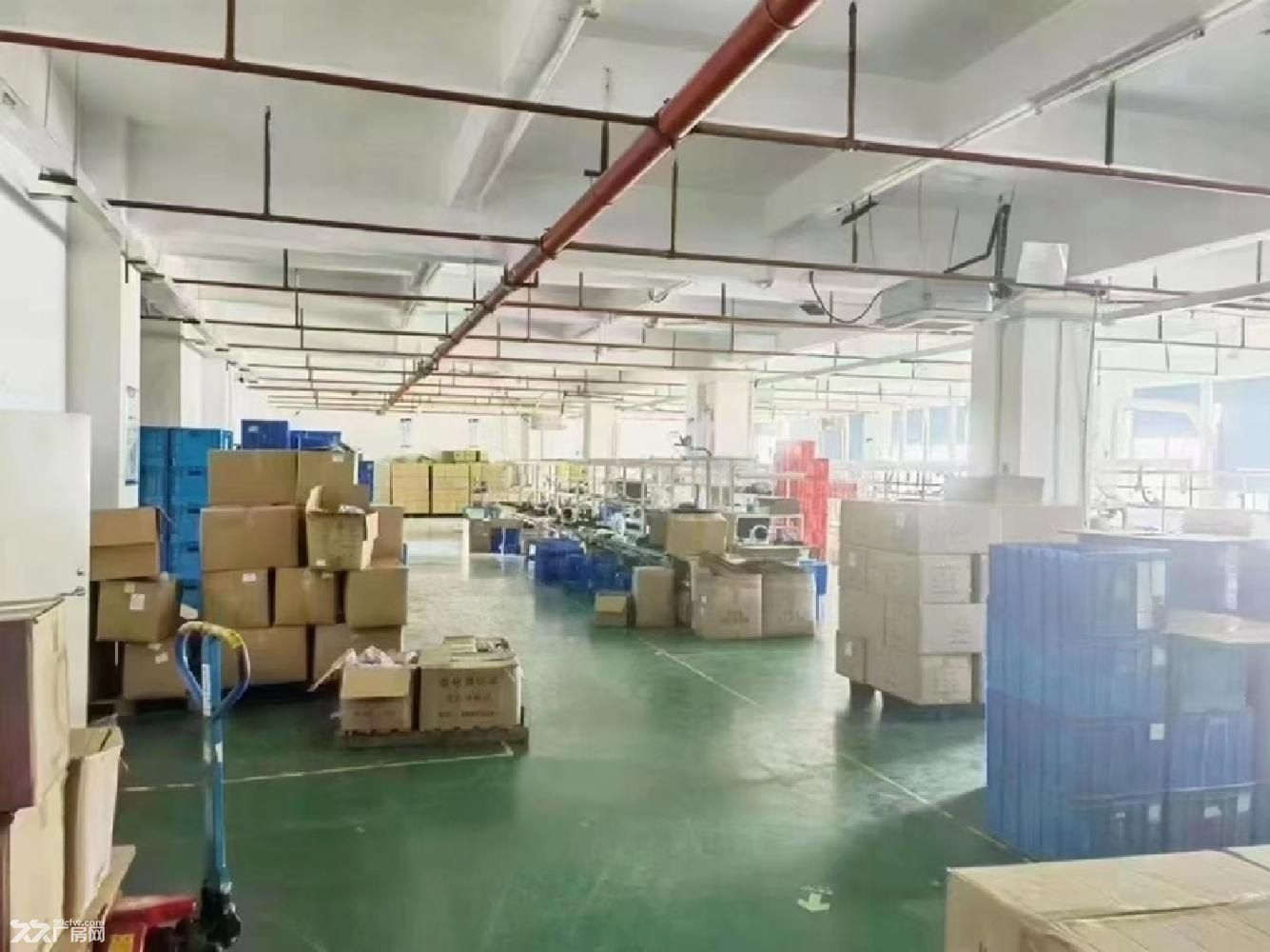 深圳龙华大浪原房东整层3000平精装办公室车间厂房出租 - 5
