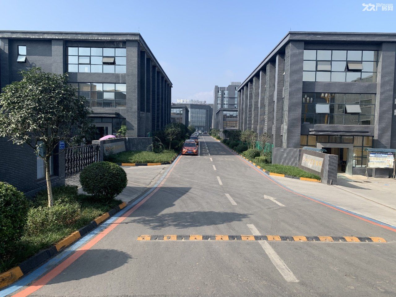 成都东部独门独院厂房出售 - 5