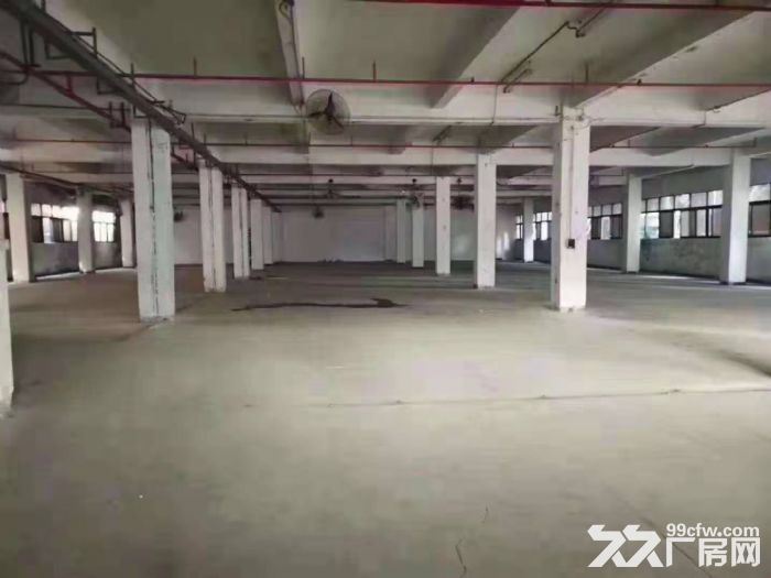 塘厦高速路口 14元每平方 独院厂房仓库出租3万平方 可分租 - 4