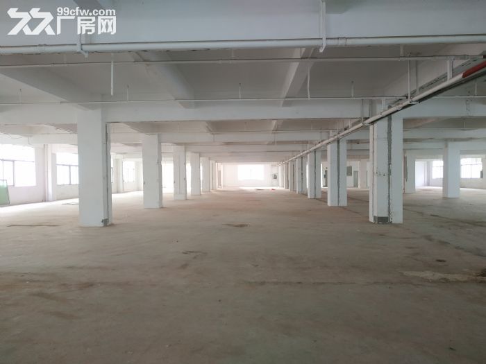 西丽大学城地铁口 创新高新园一楼370平厂房办公室直租 - 6