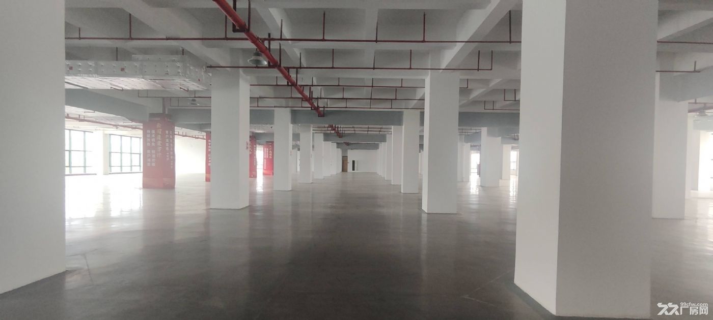 黄埔区罗岗街道3000平独栋厂房出租 - 4