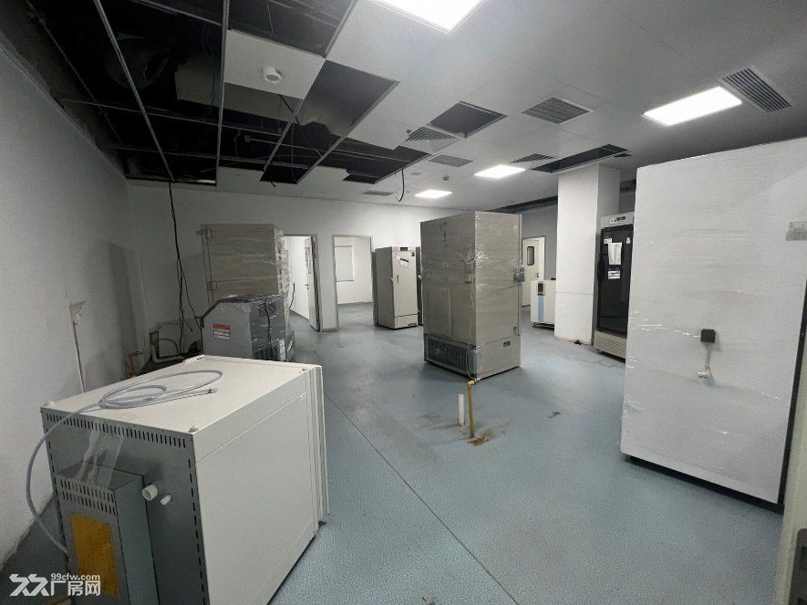 张江核心区 装修实验室200至900平按需分割出租 - 4