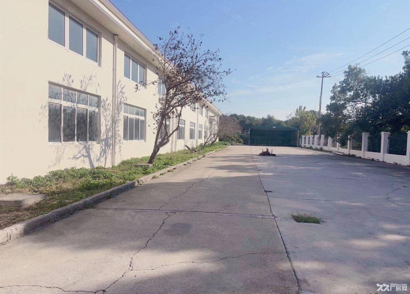 无:青浦原房东1700平全单层真实价6毛含税含物业9米带行车 - 7