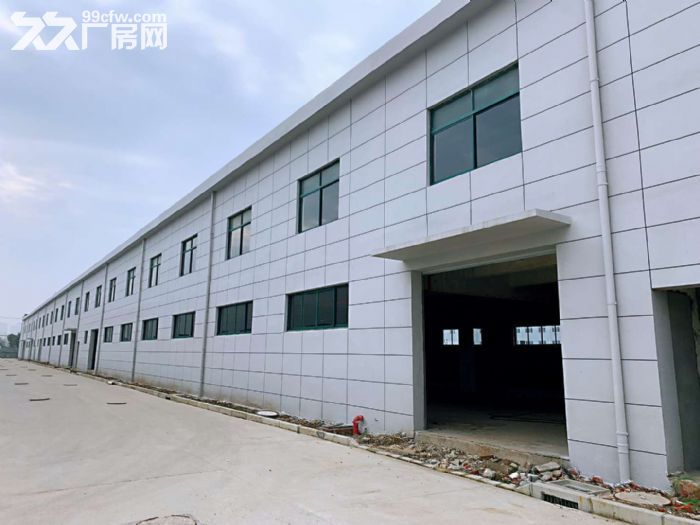 (出租) 新桥单层厂房仓库出租200平400平600平800平可任意分割 - 3