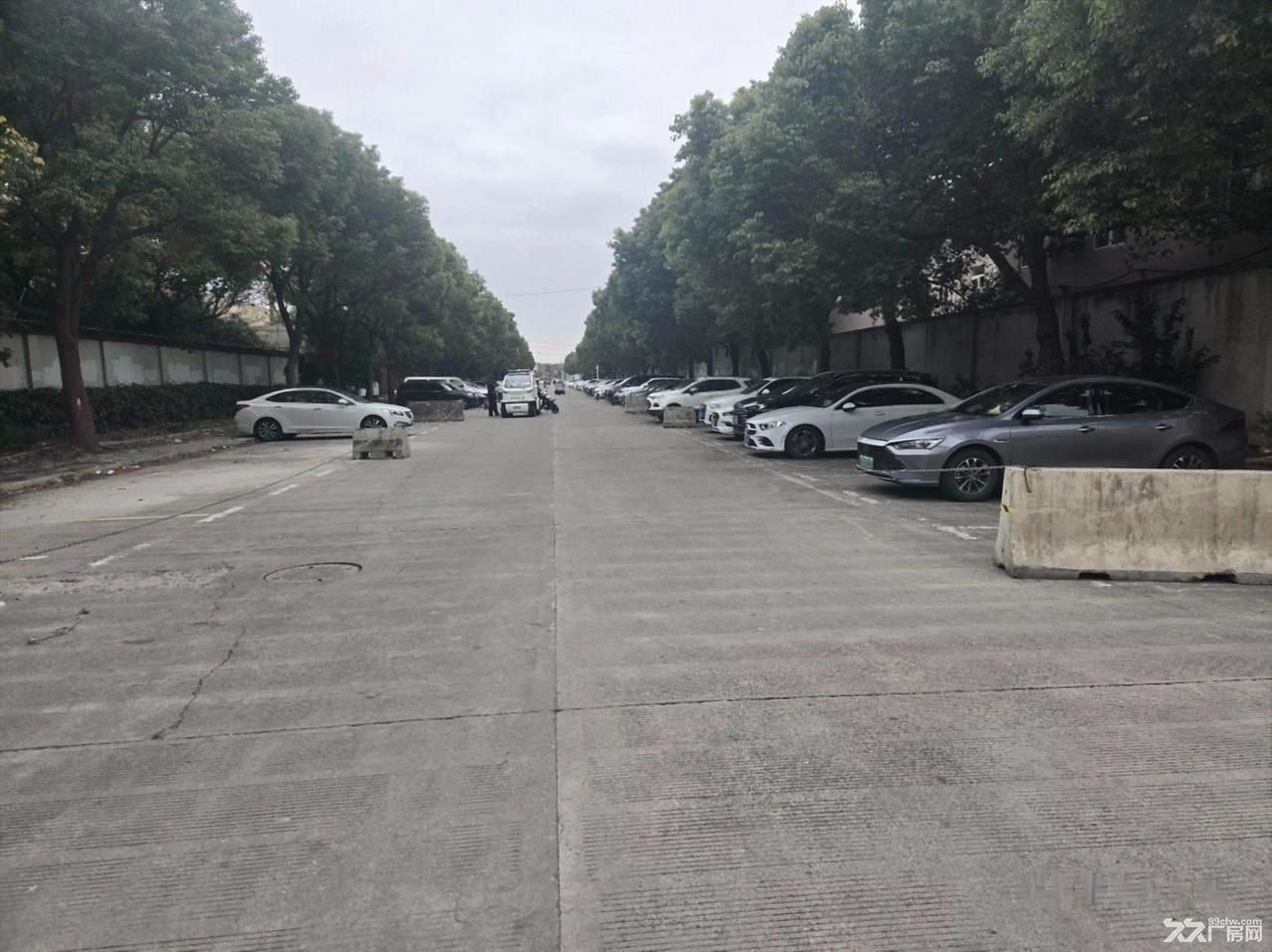 普陀桃浦 1250平独门独院 一房东 没有公摊 空地1200 - 8