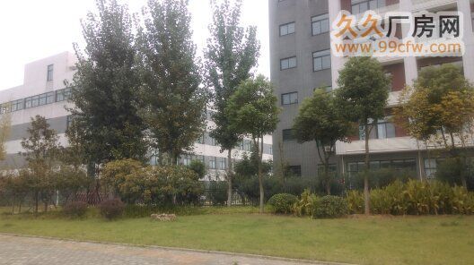 武汉东湖高新关南工业园企业18亩工业园带厂房整转 - 2