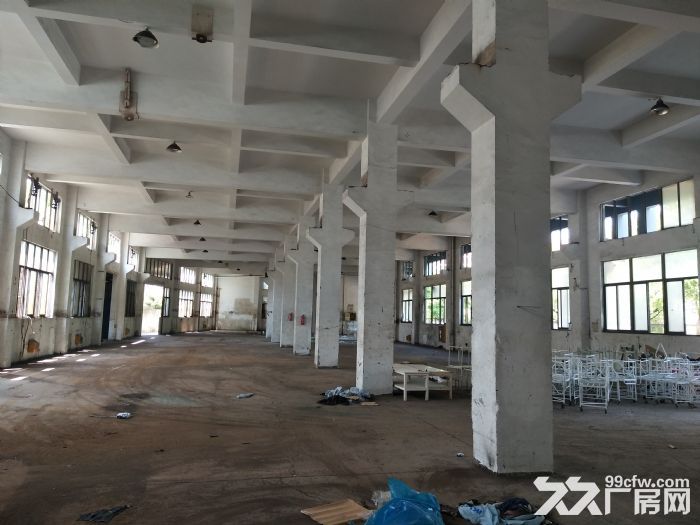 炬光园工业区1楼1200平方 适合各行业入驻 可用 - 6