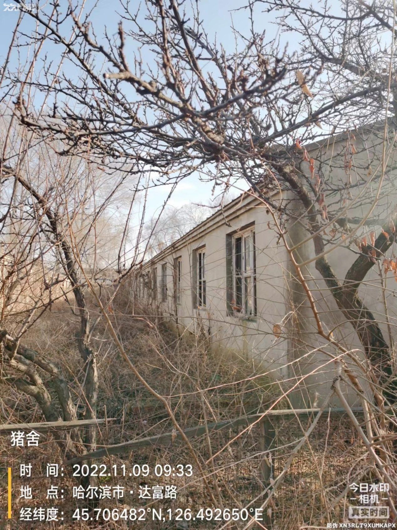 哈药集团中药二厂(黑鱼泡厂区)位于道里区哈双北路五公里