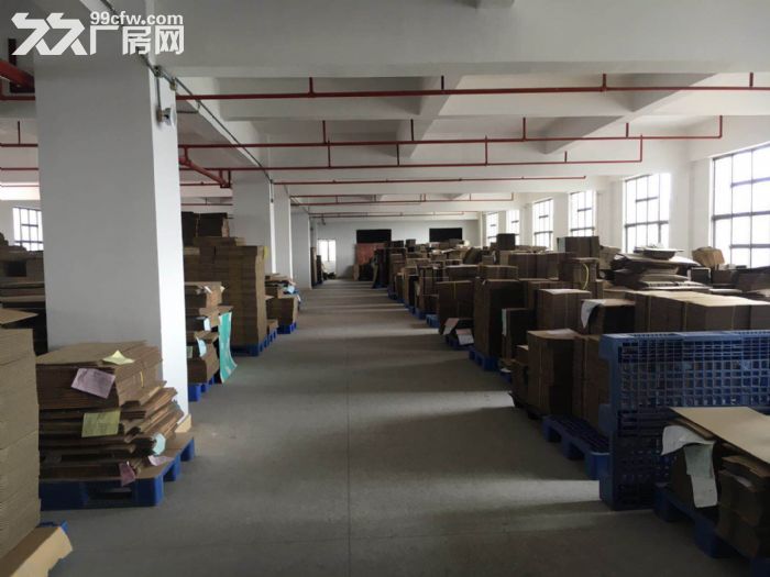 东莞清溪独院厂房5500平方出租，靠近武深高速路口 - 3
