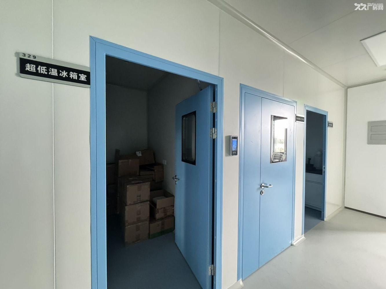 上海市闵行区 颛桥镇中春路1288号 金地威新科创园 - 6