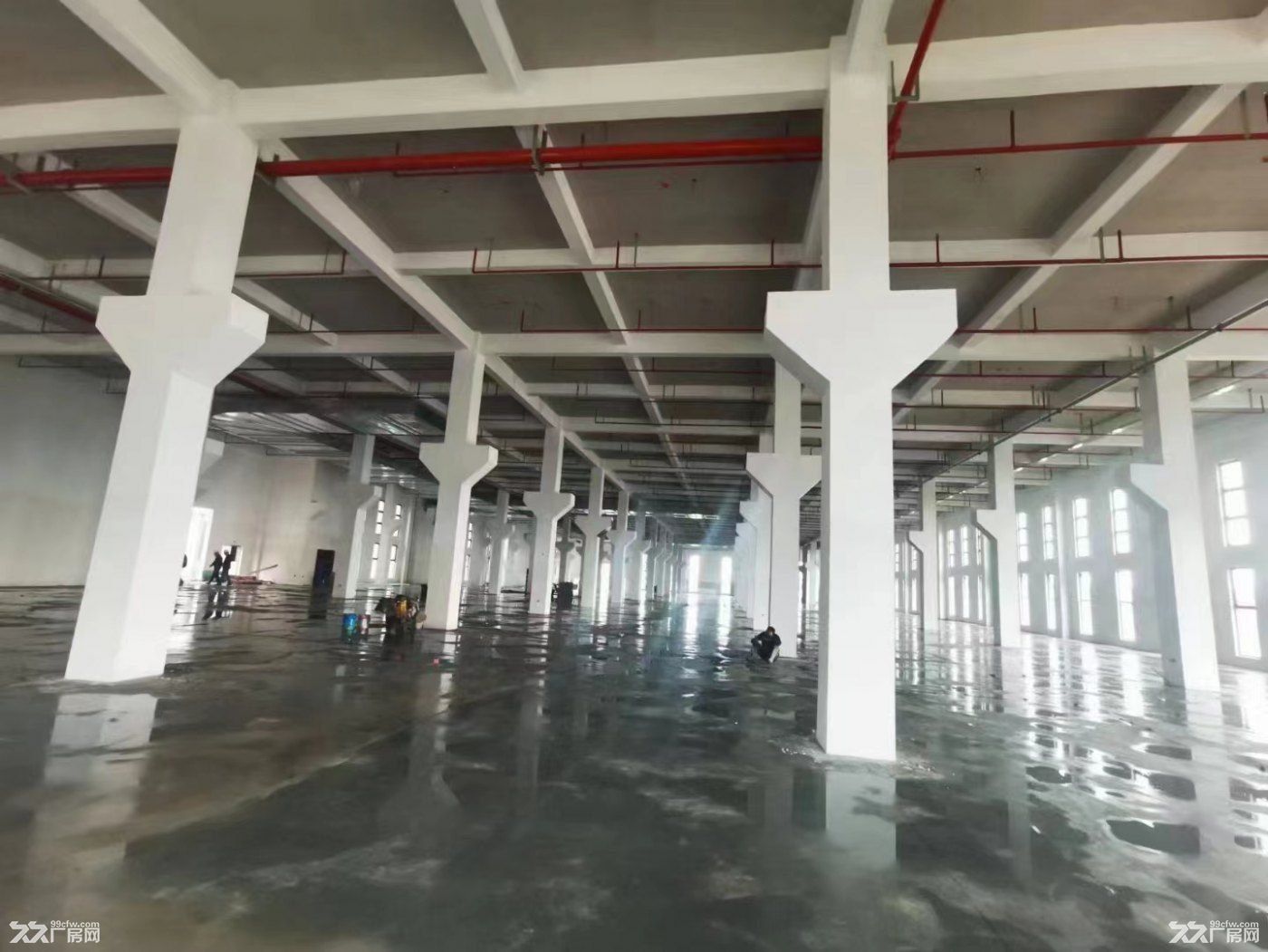 南通开发区独栋钢构单层&框架双层厂房现房出租 - 8