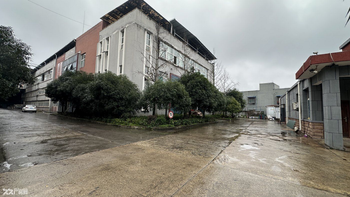 青杠高速入口旁9800㎡ 标准框架厂房租售 独院50年产权 - 4