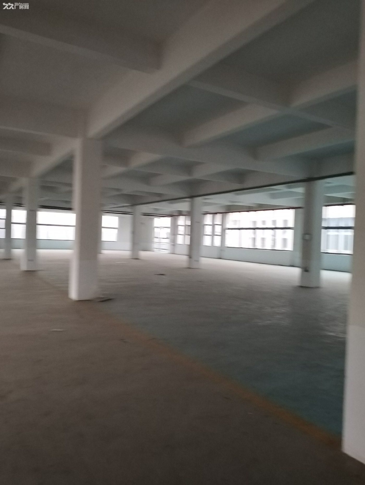 无中介直租武汉经济技术开发区多层厂房含3吨电梯 - 2