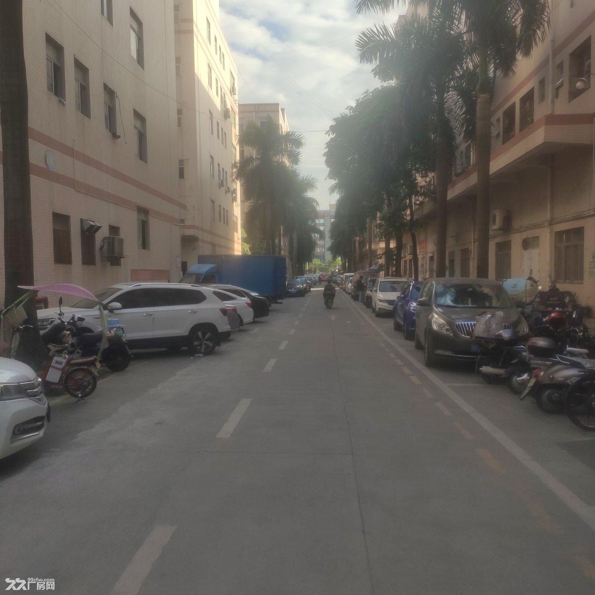 固戍地铁附近原房东工业园厂房精装修配套设施齐全可办环评 - 7