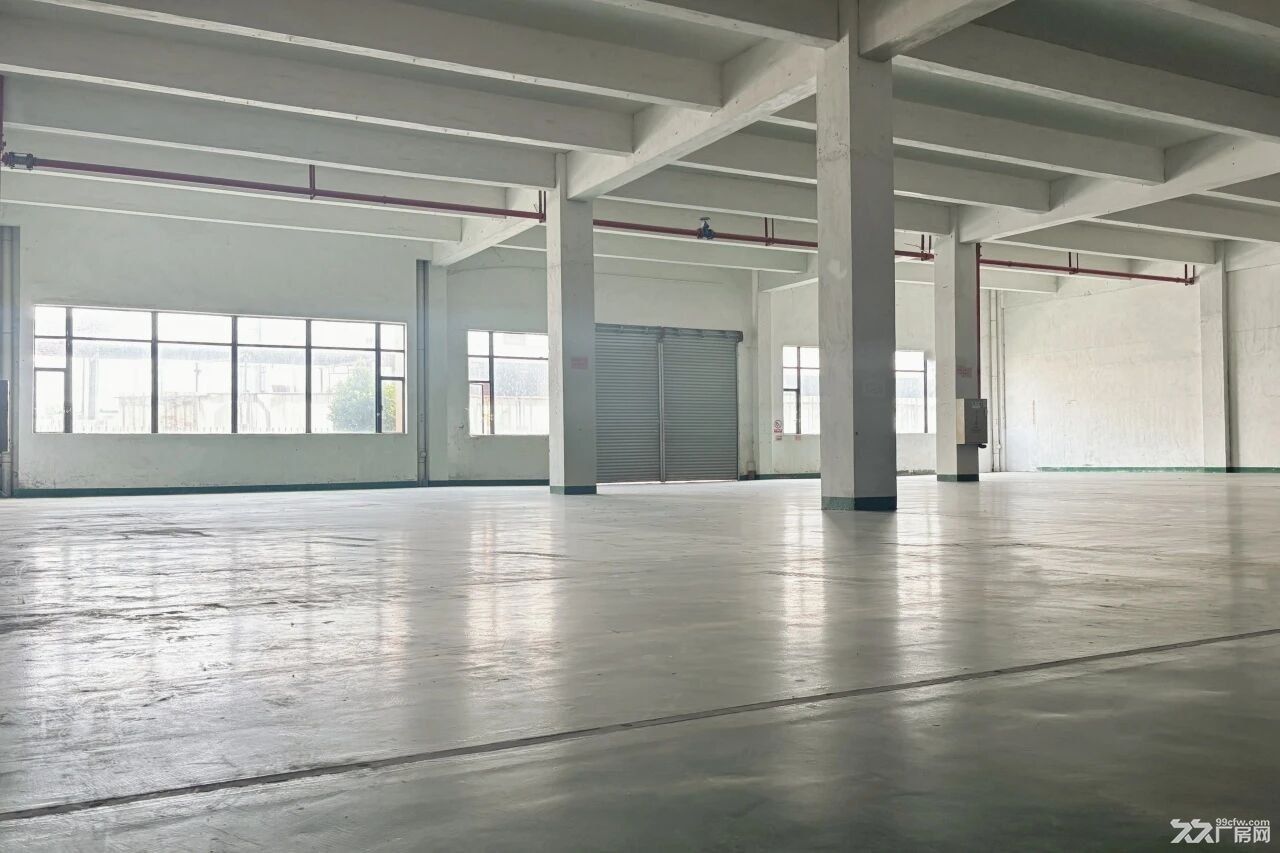 顺德五沙中心地段首层近1000㎡标准厂房招租 - 4